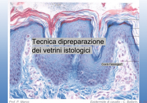Tecnica di Preparazione Vetrini Istologici: Guida