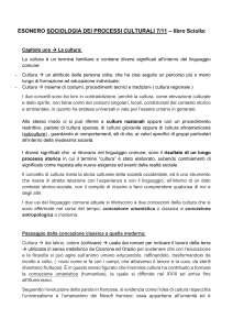 La cultura in sociologia