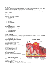 Ustioni: Classificazione, Trattamento e Gestione Clinica