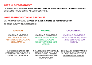 Riproduzione Animale: Vivipari, Ovipari, Ovovivipari