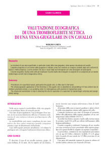 Valutazione ecografica di una tromboflebite settica di una vena giugulare in un cavallo