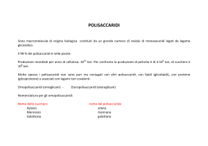 Polisaccaridi: Struttura, Classificazione e Fonti