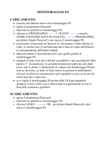Monitoraggio PA: Istruzioni per l'uso