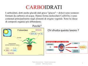 CARBOIDRATI - MONOSACCARIDI