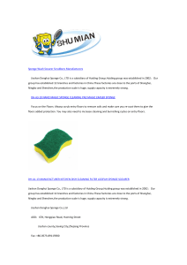 Jiashan Donghui Sponge Co
