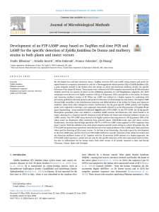 FTP-LAMP Assay for Xylella fastidiosa Detection