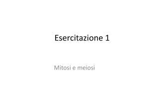 esercitazioni combined pdf