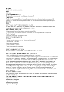 Biodiversità e Insetti: Atelier Digitale per Bambini 6-10 anni