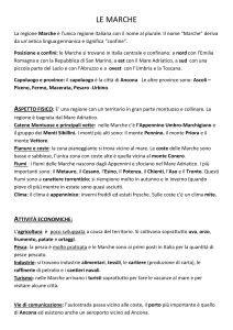 MARCHE semplificata