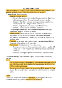 CAMPIONI CLINICI PDF