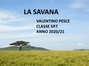 La Savana: presentazione didattica per la scuola primaria