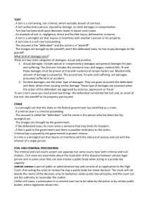 Tort Law, Criminal Law & Civil Proceedings Overview
