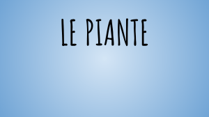 Le Piante: Radici, Fusti e Foglie - Presentazione