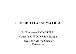 SENSIBILITA SOMATICA. Pr. Francesco SIGNORELLI Cattedra ed U.O. Neurochirurgia Università Magna Græcia, Catanzaro