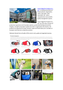 Dog Collars Suppliers
