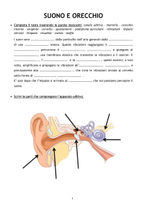 Scheda orecchio