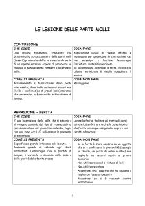 Traumatologia (2)