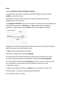 Grandezze Scalari e Vettoriali: Appunti di Fisica