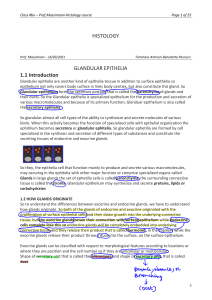 6. Glandular Epithelial t