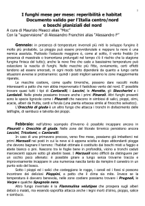 Funghi mese per mese: Guida alla reperibilità in Italia