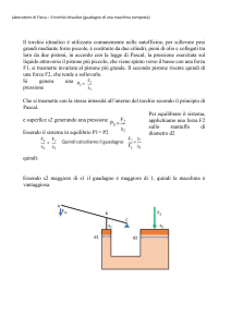 Laboratorio Fisica Il torchio idraulico