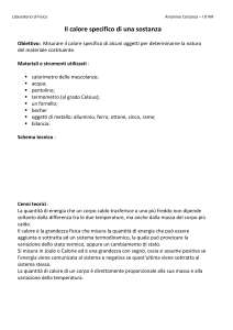 Calore Specifico: Esperimento di Laboratorio di Fisica