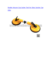 Double Vacuum Cup Sucker Tool for Glass Suction Cup Lifter