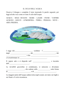 Il Ciclo dell'Acqua: Esercizio Didattico
