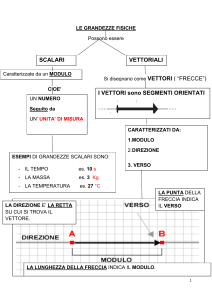 Grandezze Fisiche: Scalari e Vettoriali - Appunti di Fisica