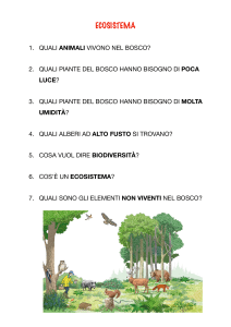 ecosistema bosco