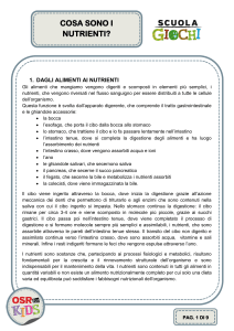 COSA SONO I NUTRIENTI 