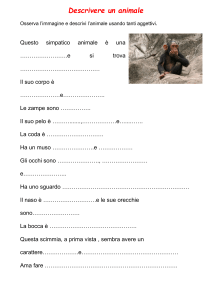 Descrivere un animale: Foglio di lavoro per bambini