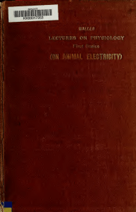 book On Animal Electricity 1897