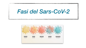 Fasi del SARS-CoV-2: Esposizione, Incubazione e Malattia Clinica