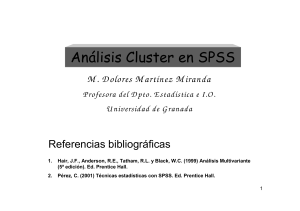 Análisis de Conglomerados en SPSS: Una Presentación