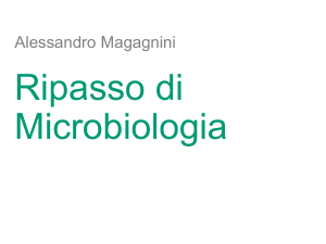 Microbiologia: Ripasso sulla Cellula Procariotica e Crescita