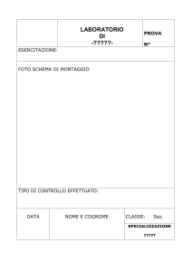Modello Relazione Standard