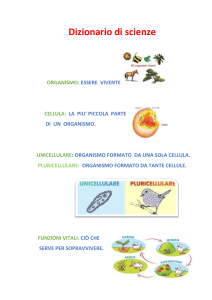 Dizionario  di  scienze