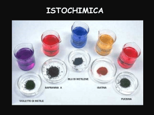 Istoquímica: Técnicas de coloração e identificação de substâncias