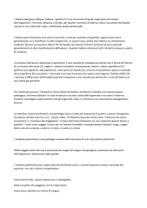 definizioni