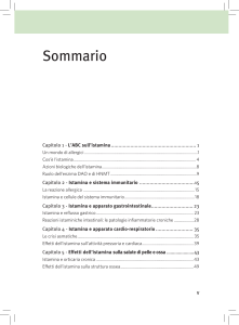 sommario