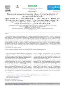 VCAM-1 Targeted Nanocarriers for Endothelial Senescence Detection