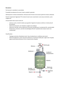 Bioreattore: Funzionamento, Componenti e Classificazione
